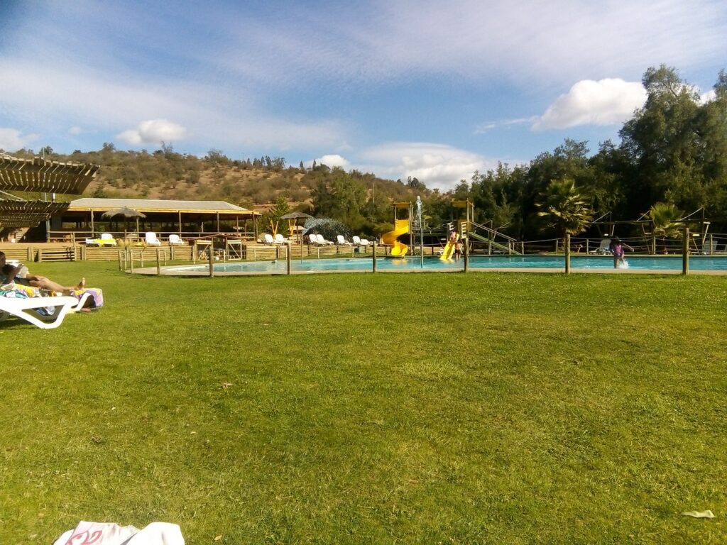 piscina, pool, pasto